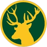 Ashtead CC