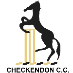 Checkendon CC 2nd XI