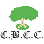 Colwyn Bay CC