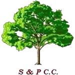 Shapwick & Polden CC