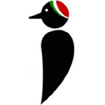 Woodpeckers CC (Gloucs)