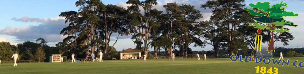 The Park, home to Old Down CC - Cricket Ground Map